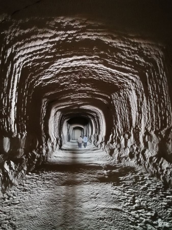 מחפורות הצינים